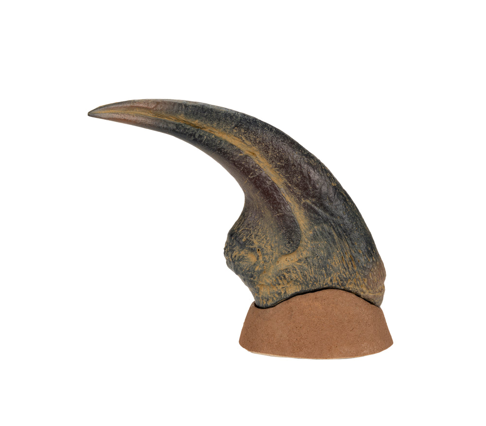 Allosaurus_Claw
